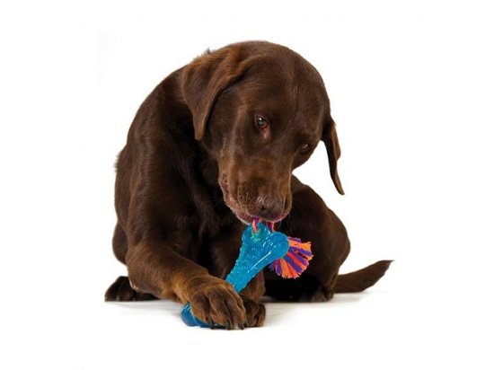 Фото 2 -  игрушки PETSTAGES Orka Bone - Орка Косточка с канатиком - игрушка для собак