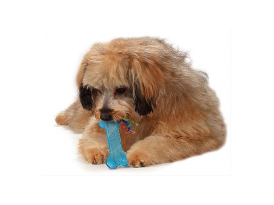 Фото 2 -  игрушки Petstages ORKA BONE MINI игрушка для собак КОСТОЧКА МИНИ
