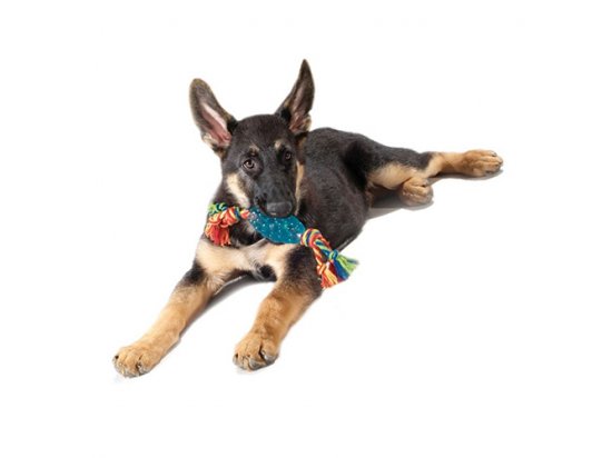 Фото 3 -  іграшки PETSTAGES Orka Pine Cone Chew Орка Шишка з канатом - іграшка для собак