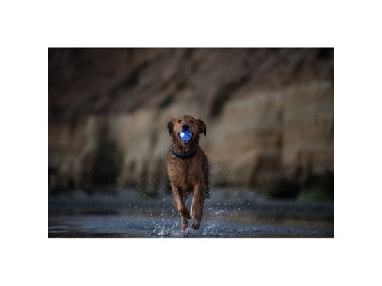 Фото 2 -  іграшки Planet Dog ORBEE BALL іграшка для собак М'ЯЧ - ЗЕМНА КУЛЯ СИНІЙ