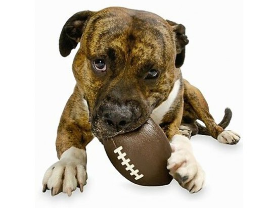 Фото 2 -  игрушки Planet Dog FOOTBALL игрушка для собак ФУТБОЛЬНЫЙ МЯЧ