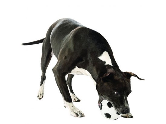 Фото 2 -  іграшки Planet Dog SOCCER BALL іграшка для собак М'ЯЧ ФУТБОЛЬНИЙ з маслом м'яти та отвором для ласощів