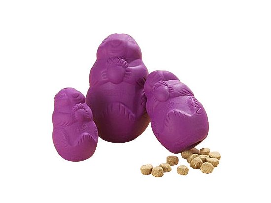 Фото - Premier SQUIRREL DUDE (Сквирелл дуд) Cверхпрочная игрушка-лакомство для собак игрушки Premier SQUIRREL DUDE (Сквирелл дуд) Cверхпрочная игрушка-лакомство для собак