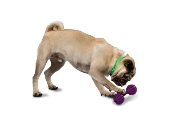 Фото 3 -  игрушки PetSafe WAGGLE (Ваггл) Суперпрочная игрушка-лакомство для собак