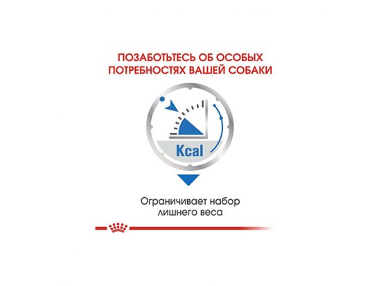 Фото 5 -  вологий корм (консерви) Royal Canin LIGHT WEIGHT CARE вологий корм для собак схильних до ожиріння