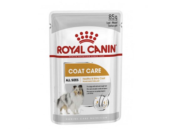 Фото - Royal Canin COAT CARE вологий корм для собак для краси та блиску шерсті вологий корм (консерви) Royal Canin COAT CARE вологий корм для собак для краси та блиску шерсті