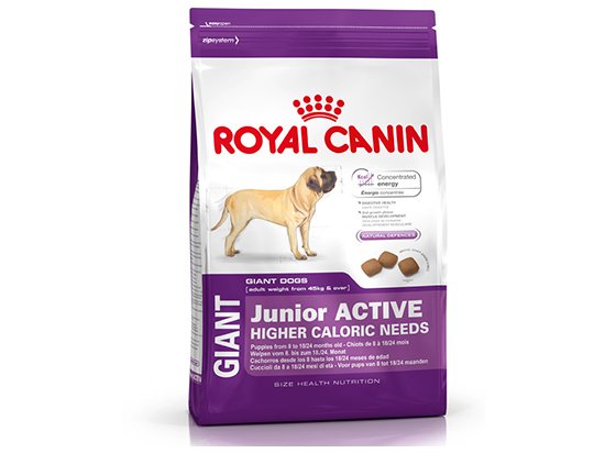 Фото - сухой корм Royal Canin GIANT JUNIOR ACTIVE (ЮНИОРЫ ГИГАНТСКИХ ПОРОД АКТИВ) корм для щенков от 8-24 месяцев