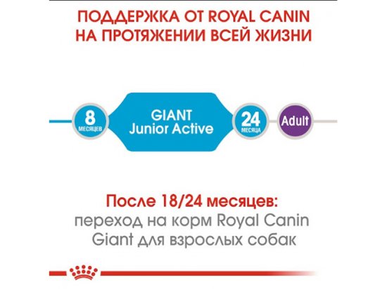 Фото - сухой корм Royal Canin GIANT JUNIOR ACTIVE (ЮНИОРЫ ГИГАНТСКИХ ПОРОД АКТИВ) корм для щенков от 8-24 месяцев