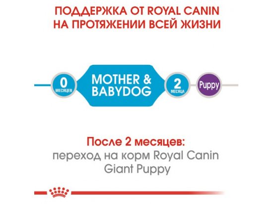 Фото - сухий корм Royal Canin GIANT STARTER MOTHER & BABYDOG корм для вагітних та годуючих сук та цуценят гігантських-порід