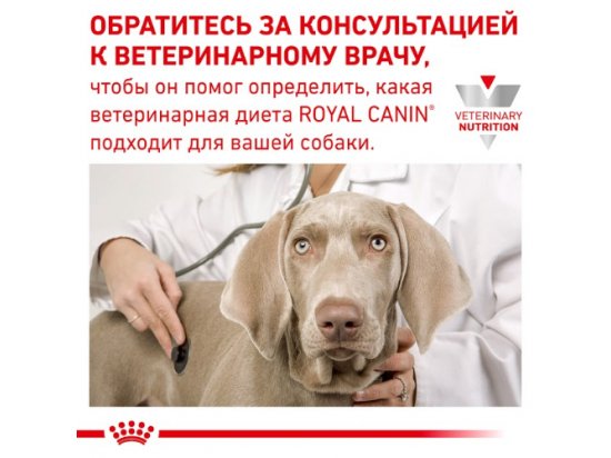 Фото - ветеринарные корма Royal Canin SKIN CARE ADULT лечебный корм для собак при кожных заболеваниях