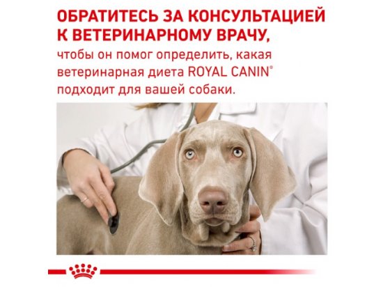 Фото - ветеринарные корма Royal Canin HYPOALLERGENIC MODERATE CALORIE - гипоаллергенный низкокалорийный корм для собак