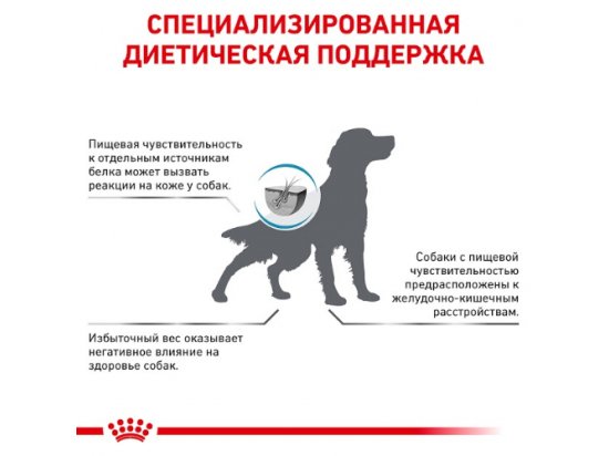 Фото - ветеринарные корма Royal Canin HYPOALLERGENIC MODERATE CALORIE - гипоаллергенный низкокалорийный корм для собак