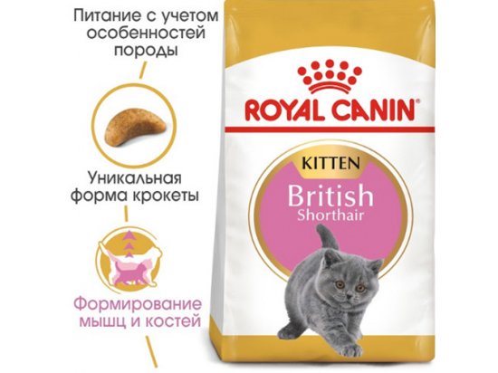 Фото - сухой корм Royal Canin Kitten BRITISH SHORTHAIR (БРИТАНСКАЯ КОРОТКОШЕРСТНАЯ КИТТЕН) корм для котят до 12 месяцев