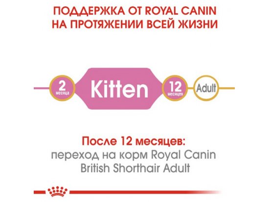 Фото - сухий корм Royal Canin Kitten BRITISH SHORTHAIR (БРИТАНСЬКА КОРОТКОШЕРСНА КІТТЕН) корм для кошенят до 12 місяців