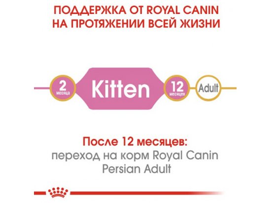 Фото - сухой корм Royal Canin KITTEN PERSIAN 32 (КИТТЕН ПЕРСИАН) корм для котят от 4-12 месяцев