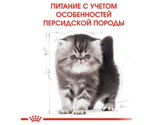 Фото - сухой корм Royal Canin KITTEN PERSIAN 32 (КИТТЕН ПЕРСИАН) корм для котят от 4-12 месяцев