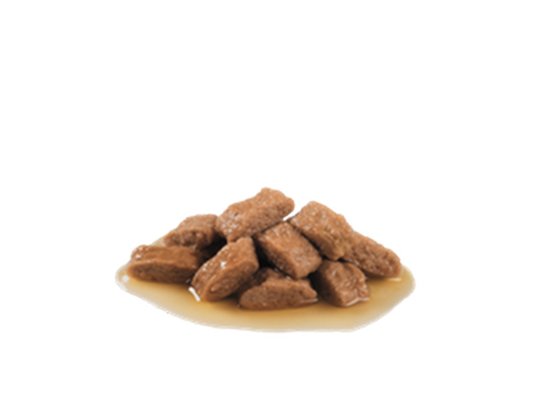 Фото 6 -  влажный корм (консервы) Royal Canin MEDIUM ADULT влажный корм для взрослых собак средних пород от 2 до 12 месяцев