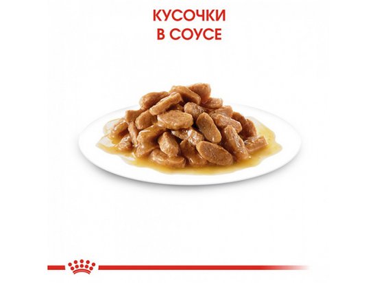 Фото 4 -  влажный корм (консервы) Royal Canin MEDIUM PUPPY влажный корм для щенков средних пород от 2 до 12 месяцев