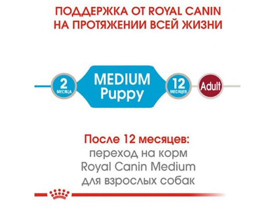 Фото 3 -  влажный корм (консервы) Royal Canin MEDIUM PUPPY влажный корм для щенков средних пород от 2 до 12 месяцев