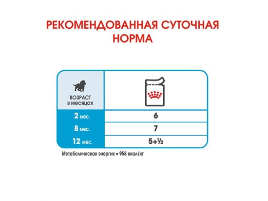Фото 2 -  влажный корм (консервы) Royal Canin MEDIUM PUPPY влажный корм для щенков средних пород от 2 до 12 месяцев