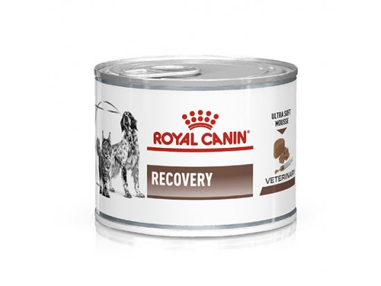 Фото - ветеринарные корма Royal Canin RECOVERY (РЕКАВЕРИ) лечебный влажный корм для собак и кошек