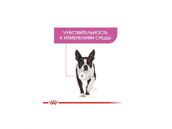 Фото 4 -  влажный корм (консервы) Royal Canin RELAX CARE влажный корм для собак с успокаивающим действием