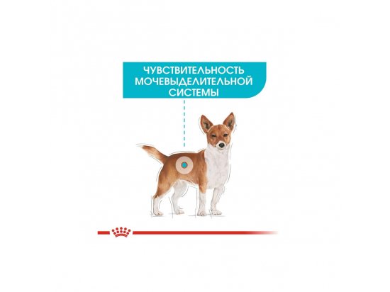 Фото 7 -  влажный корм (консервы) Royal Canin URINARY CARE влажный корм для собак с чувствительной мочевыделительной системой