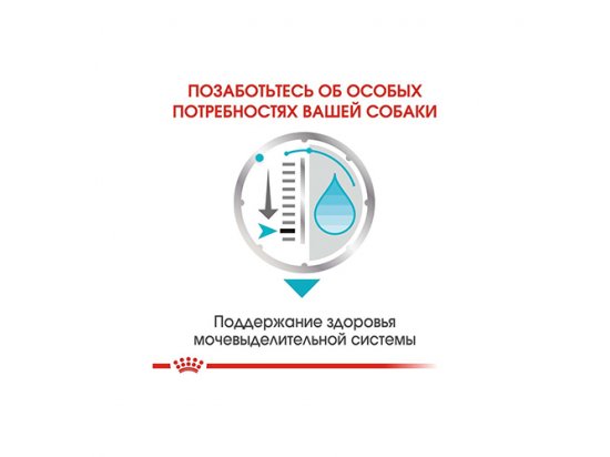 Фото 5 -  влажный корм (консервы) Royal Canin URINARY CARE влажный корм для собак с чувствительной мочевыделительной системой