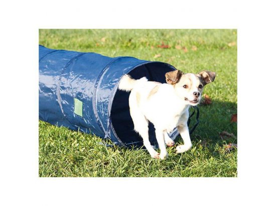 Фото 2 -  дресирування та спорт Trixie Agility Tunnel - Тунель для аджиліту (дресирування) маленьких собак та цуценят (3210)
