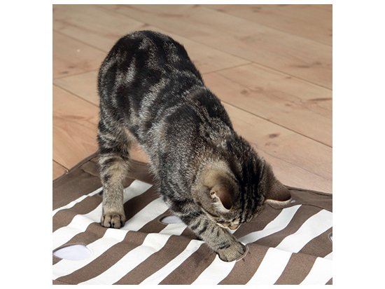 Фото 2 -  іграшки Trixie Cat Activity - ігрова підстилка для котів з отворами