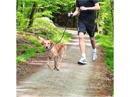Фото 2 -  амуніція Trixie JOGGING LEASH (ДЛЯ ПРОБІЖОК) повідець для собак, нейлон (12764)