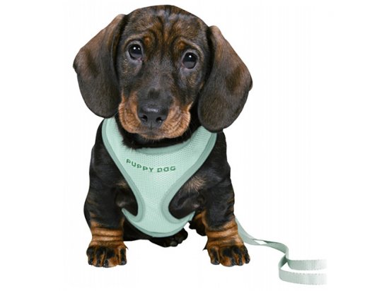 Фото 4 -  амуниция Trixie Junior Puppy Soft Harness with Lead шлейка с поводком для щенков, мятный