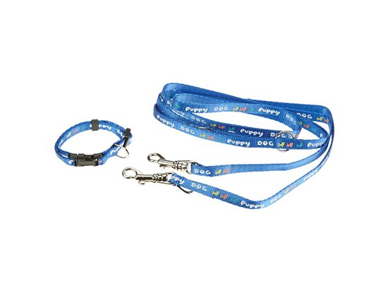 Фото - Trixie (Трикси) PUPPY (ПАППИ) ошейник + поводок перестежка для щенков и собак мелких пород, голубой амуниция Trixie (Трикси) PUPPY (ПАППИ) ошейник + поводок перестежка для щенков и собак мелких пород, голубой