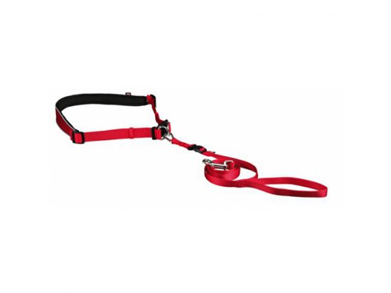 Фото 2 -  амуніція Trixie WAIST BELT WITH LEASH повідець з поясним ременем для дрібних та середніх собак (12765)