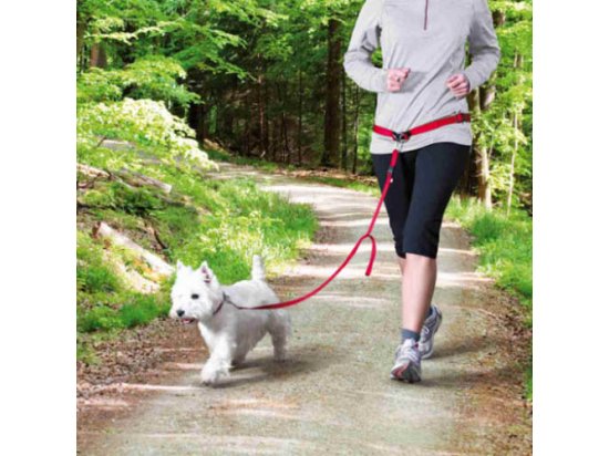 Фото - Trixie WAIST BELT WITH LEASH повідець з поясним ременем для дрібних та середніх собак (12765) амуніція Trixie WAIST BELT WITH LEASH повідець з поясним ременем для дрібних та середніх собак (12765)