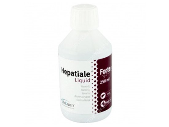 Фото - VetExpert (ВетЭксперт) HEPATIALE LIQUID (ГЕПАТИАЛЕ ЛИКВИД) гепатопротектор для собак и кошек гепатопротекторы VetExpert (ВетЭксперт) HEPATIALE LIQUID (ГЕПАТИАЛЕ ЛИКВИД) гепатопротектор для собак и кошек