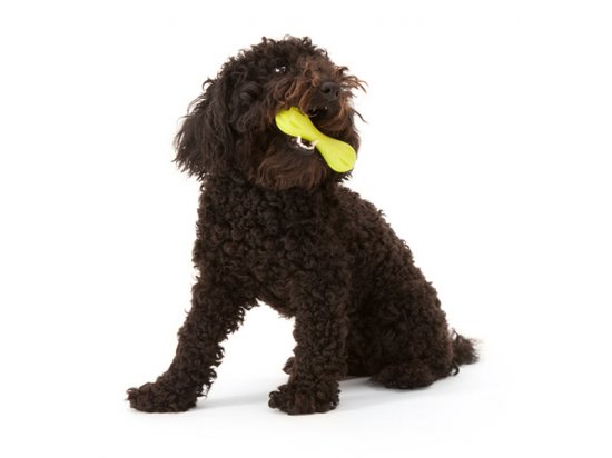 Фото 3 -  іграшки West Paw HURLEY DOG BONE іграшка-кісточка для собак СЕРЕДНЯ