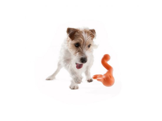 Фото 5 -  іграшки West Paw TIZZY DOG TOY іграшка-годівниця з 2-ма ніжками для собак ВЕЛИКА
