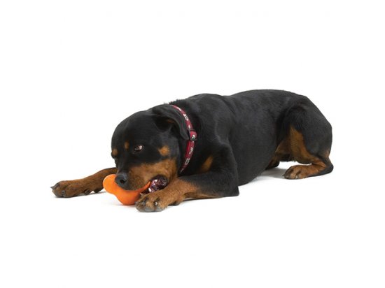 Фото 5 -  іграшки West Paw TUX TREAT TOY іграшка-годівниця для собак МАЛЕНЬКА