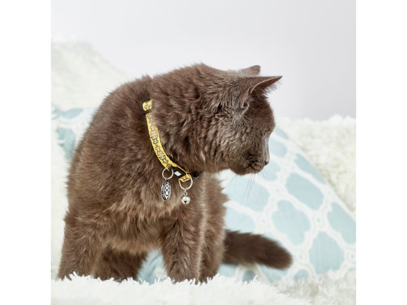Max & Molly Urban Pets Smart ID Cat Collar ошейник для кошек