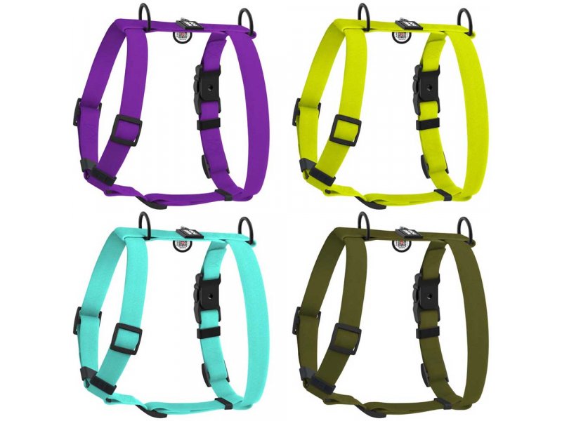 Collar WAUDOG Magnet водостойкая анатомическая H-образная шлея для