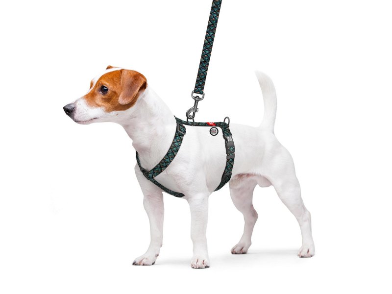 Collar WAUDOG Nylon шлея для собак анатомическая H-образная с QR