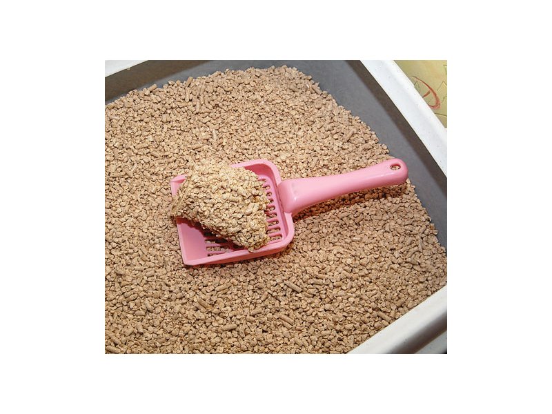 Cats Best SMART PELLETS Zoodom