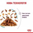 Фото - вологий корм (консерви) Royal Canin SENSORY FEEL JELLY консерви для вибагливих кішок