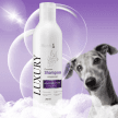 Фото 2 - щоденний догляд (шампуні, кондиціонери та інші засоби) Modes Luxury Shampoo преміальний шампунь для короткошерстих котів і собак