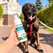 Фото 5 - для зубів та пащі Vets Best Dental Foam стоматологічна піна для догляду за зубами та ротовою порожниною собак