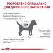 Фото - ветеринарные корма Royal Canin ANALLERGENIC SMALL DOG сухой лечебный корм для собак мелких пород