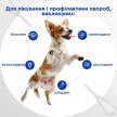 Фото 3 - від бліх та кліщів Modes Selavet краплі на холку від бліх, кліщів та гельмінтів для котів і собак