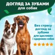 Фото 4 - для зубів та пащі Vets Best Dental Breath Freshener спрей для свіжого подиху собак