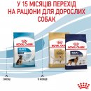 Фото 5 - сухой корм Royal Canin MAXI PUPPY корм для щенков крупных пород от 2 до 15 месяцев